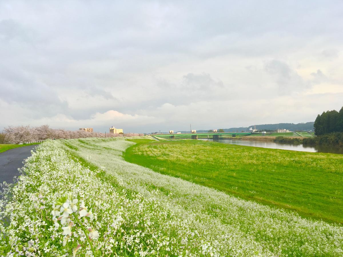 ホテル ゆとりろ山鹿 エクステリア 写真